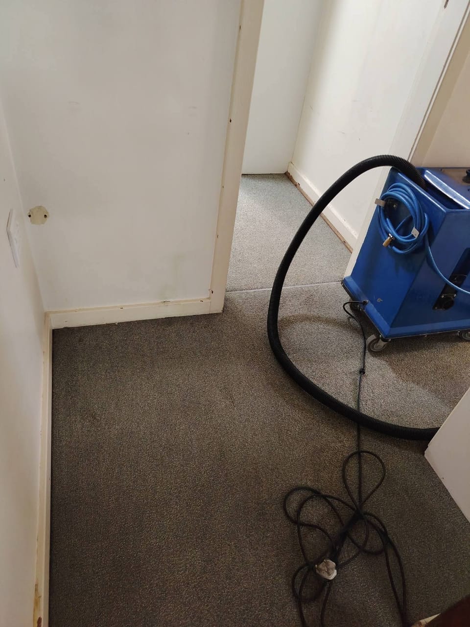 Blue carpet extraction machine working on a carpeted hallway
