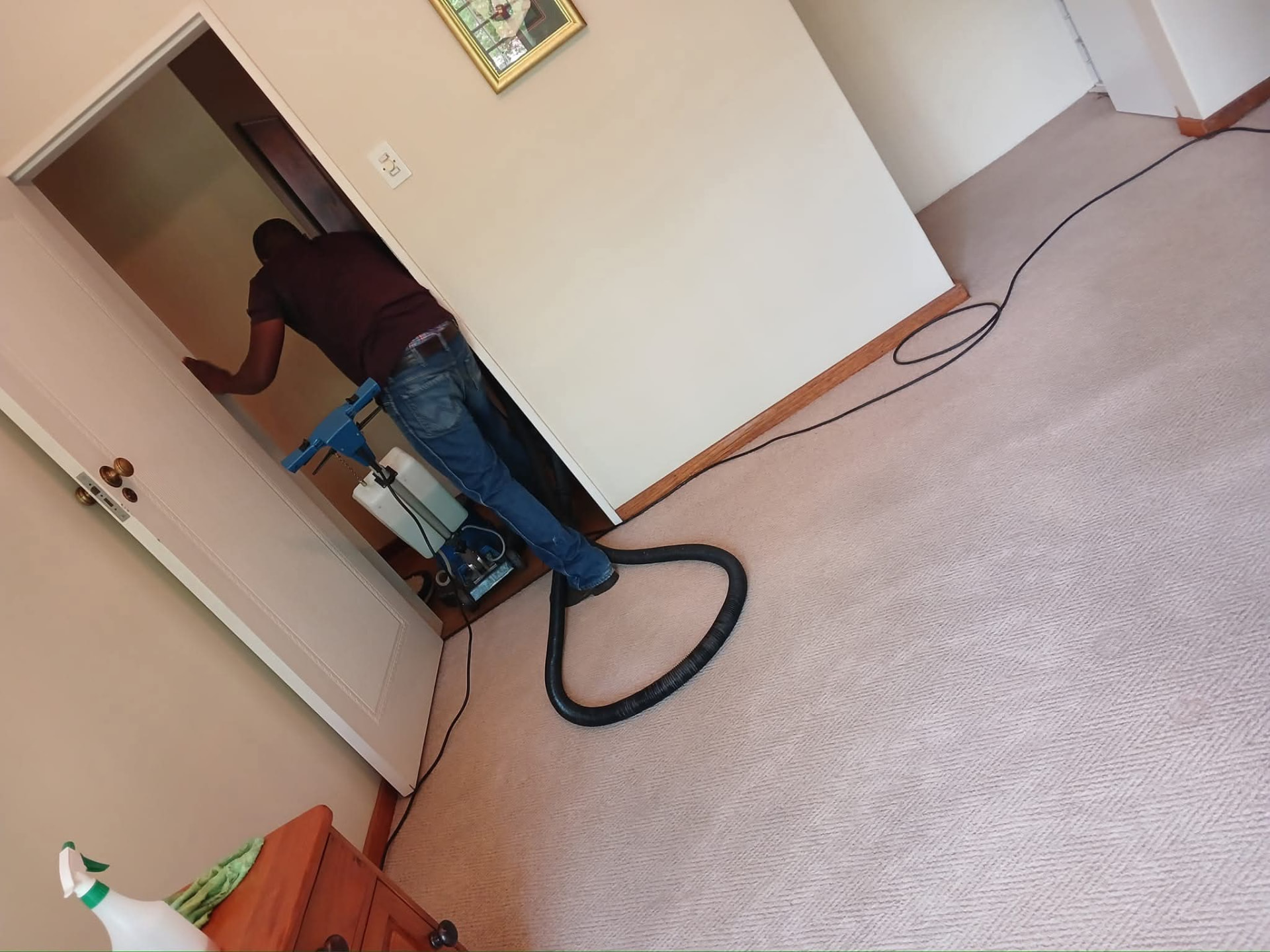 Cleaner finishing a light bedroom carpet