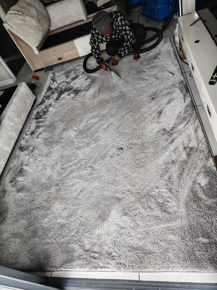 Cleaner extracting a large grey shaggy rug