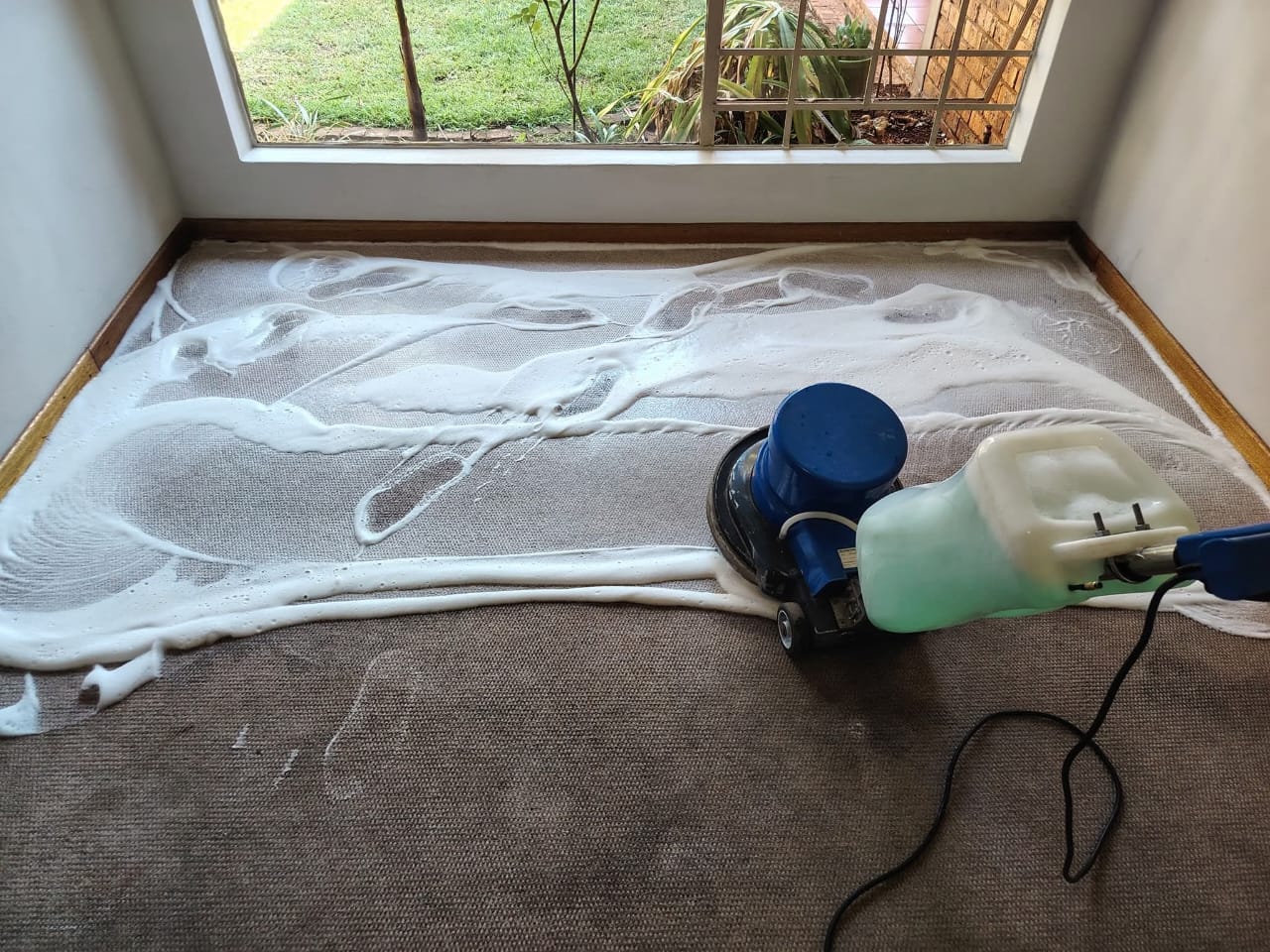 Rotary machine scrubbing a foamed carpet by a window
