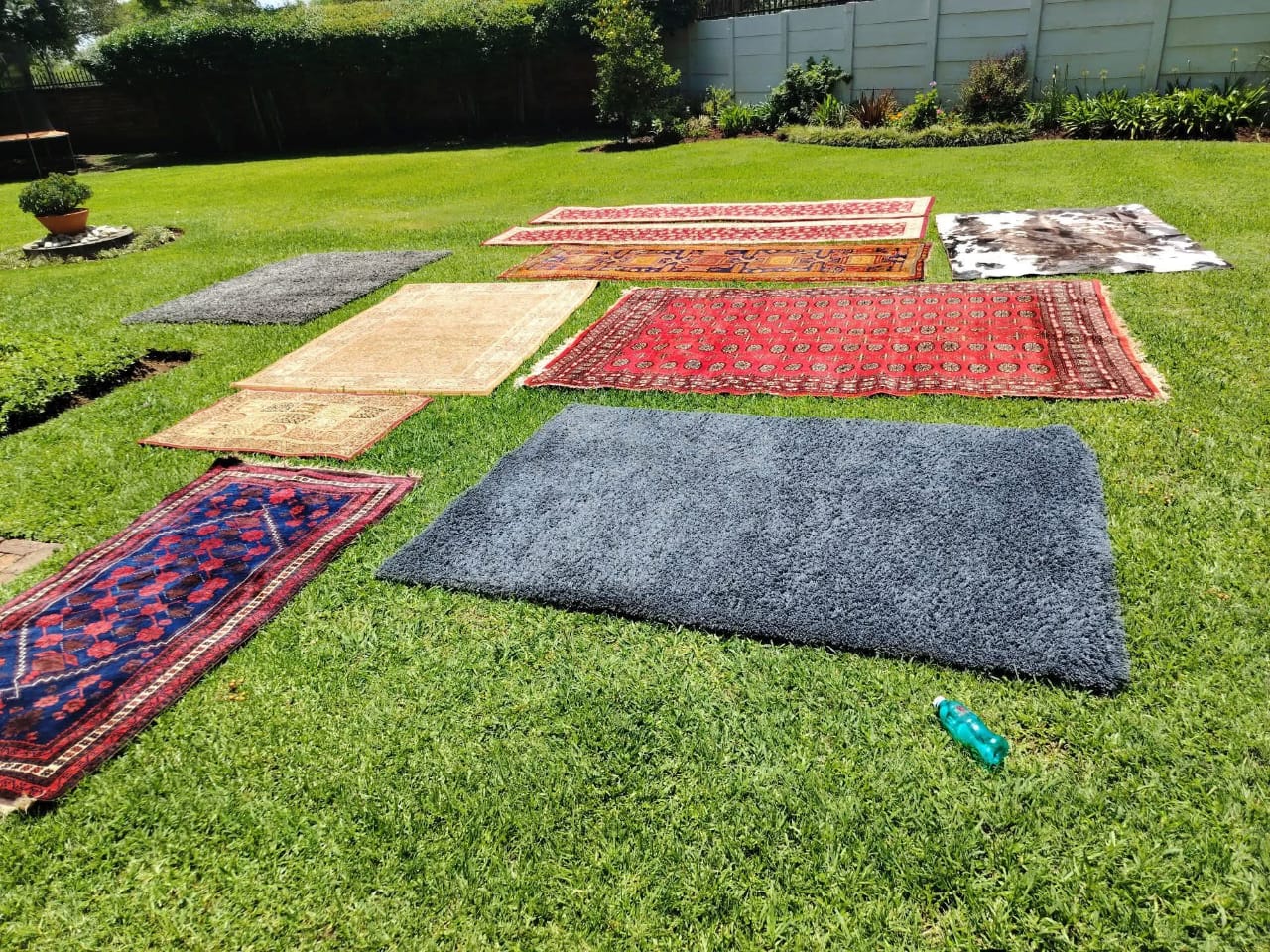 Freshly washed rugs laid out on a green lawn to dry