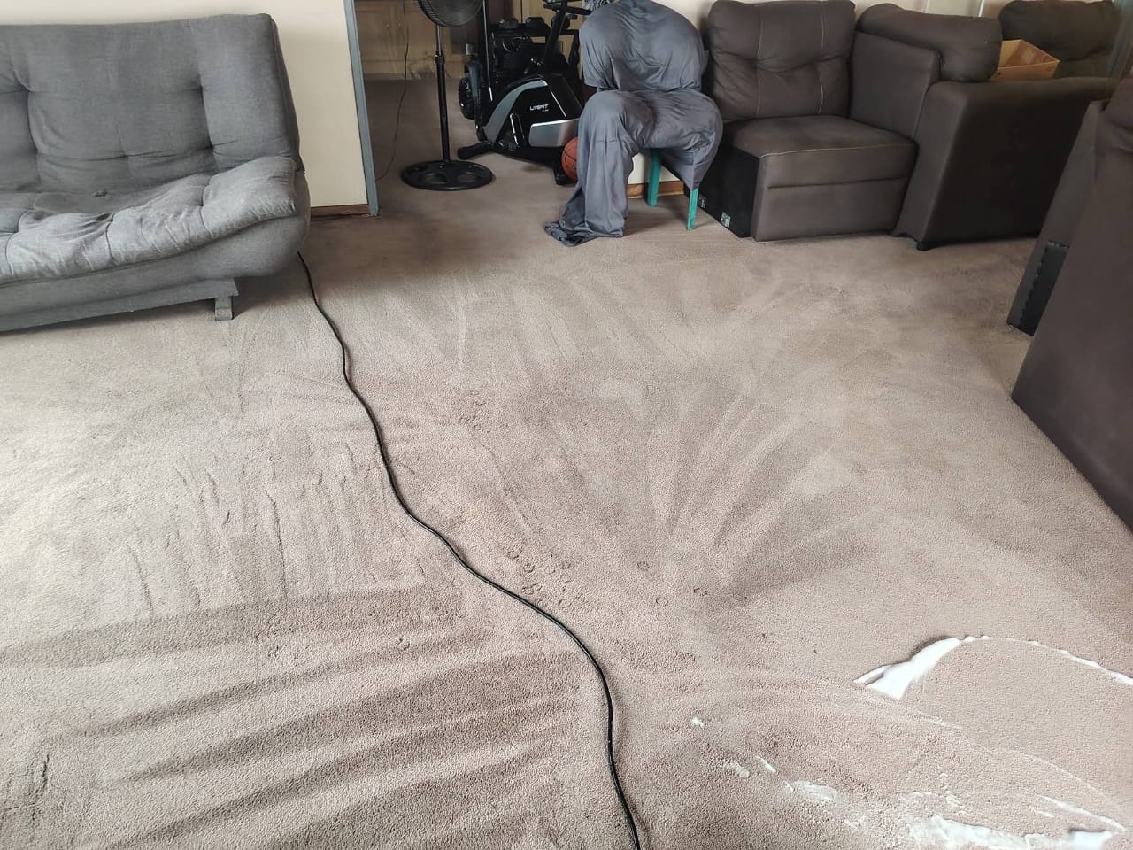 Carpet cleaning passes around couches in a living room